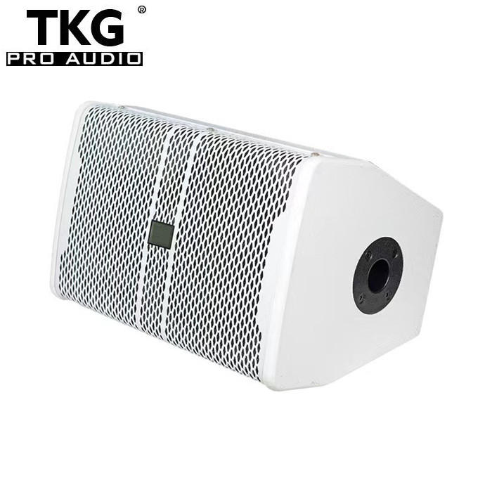 TKG B8 120W 8 inch karaoke sound system speaker