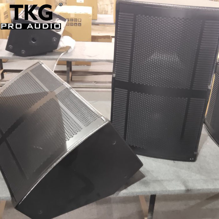 TKG MTJ-12 350 watt 12 inch speaker
