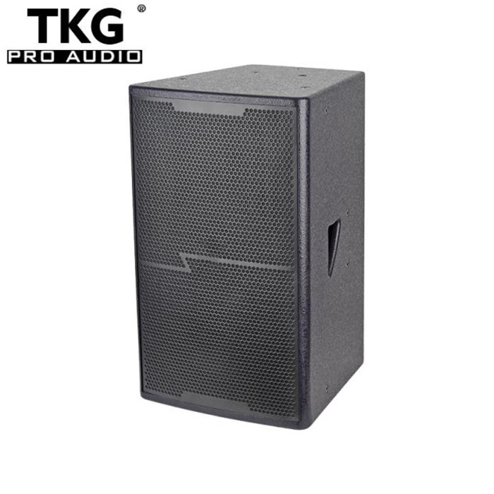 TKG KN-12 450 watt 12 inch speaker box cabinet karaoke speaker box