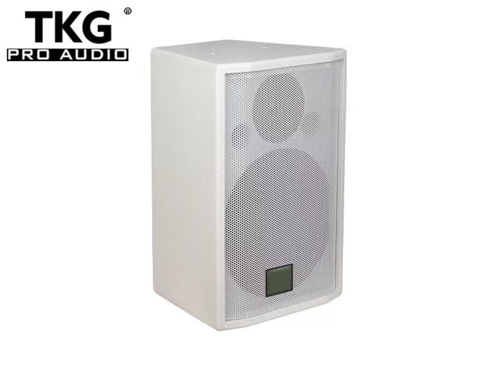TKG A8 100W 8 inch conference meeting speaker