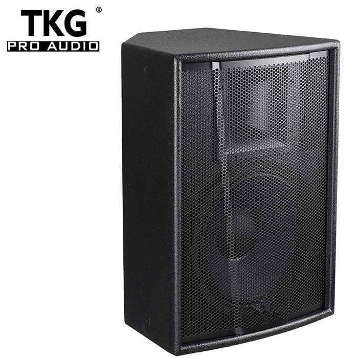 12 inch speaker