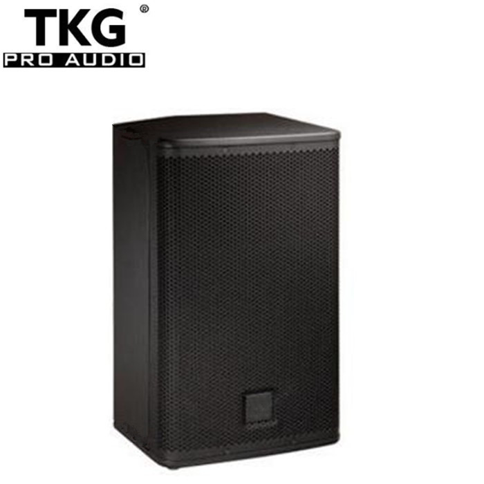 TKG ELX112 12 inch 300W professional karaoke speaker system sound system dj