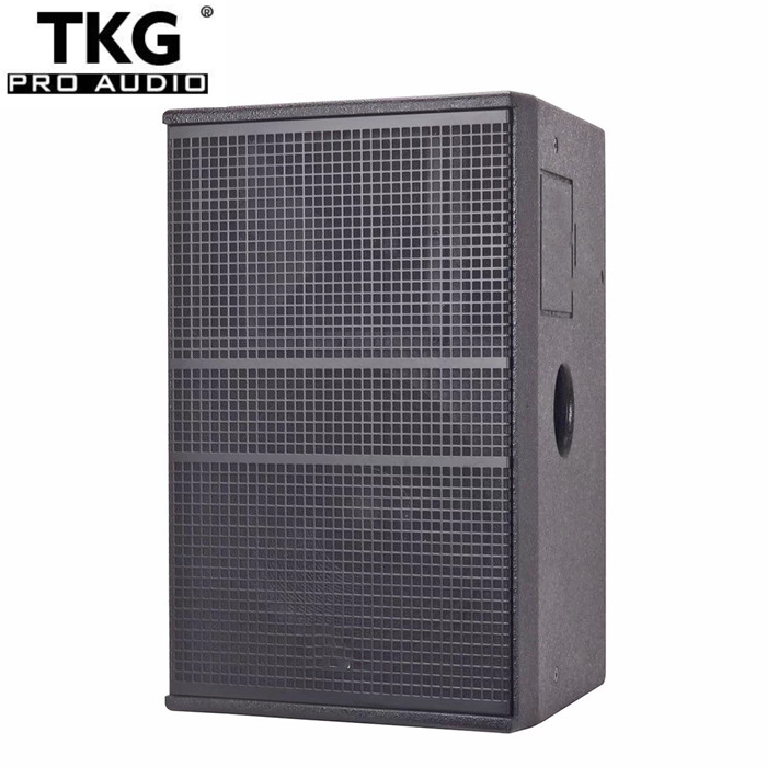 TKG DS-115 500 W 15 inch full range speaker audio system