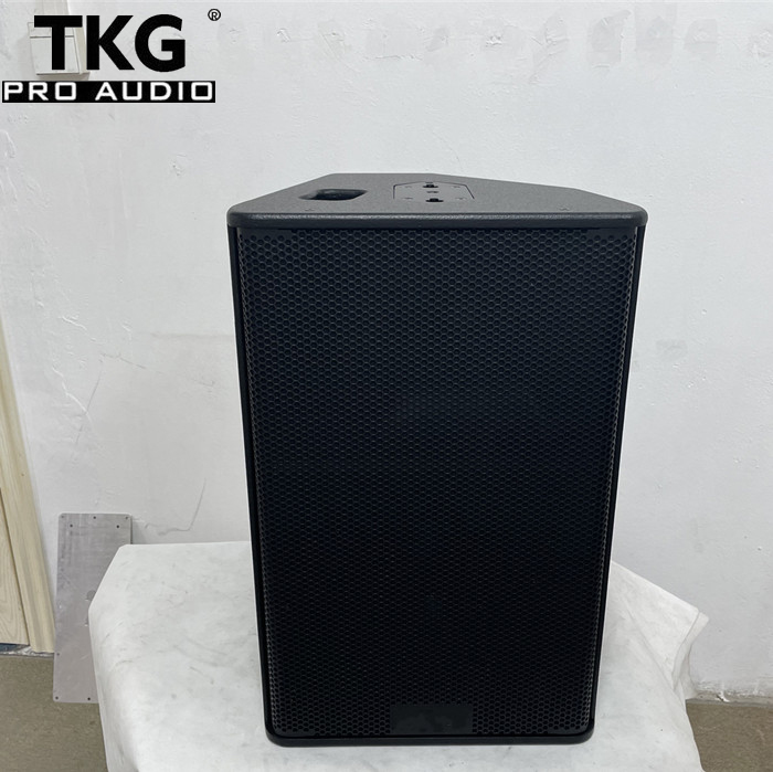 TKG PS15 500 W 15 inch sound system 15in speaker professinal loudspeaker