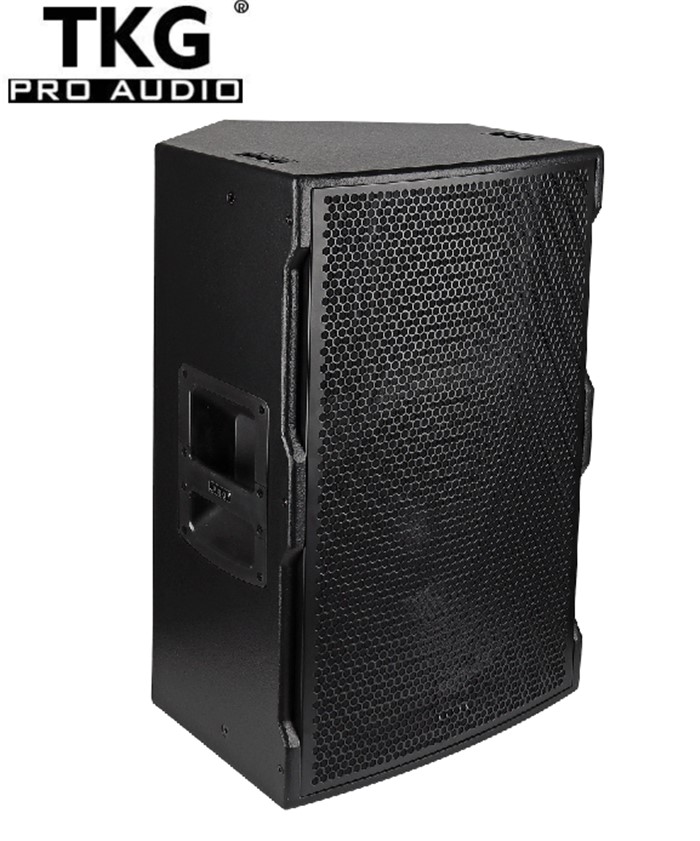 TKG 450W TT-15 15 inch active speaker box dj sound box