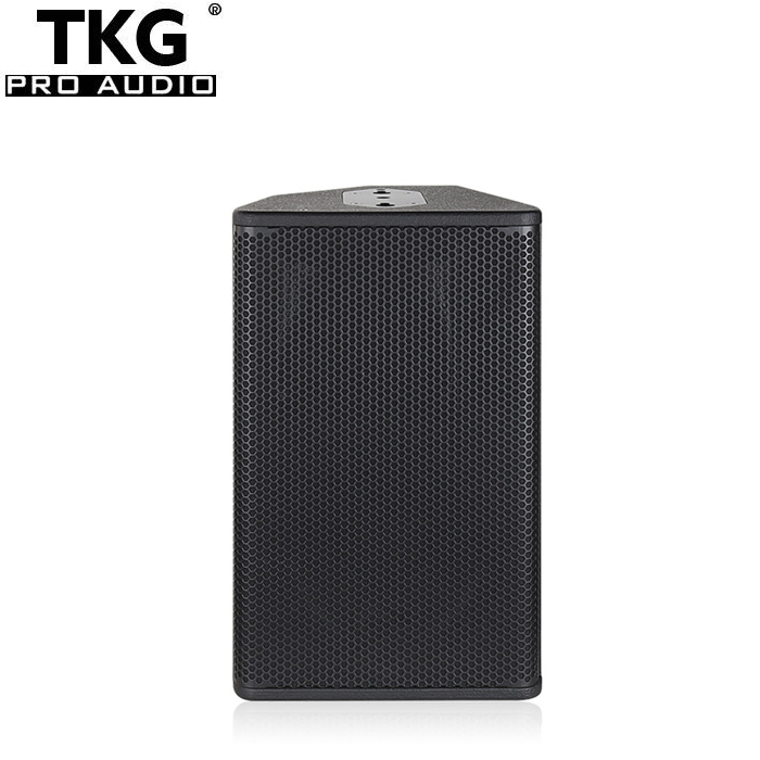 TKG ps10 passive 10 inch stage professional sound monitor speakers